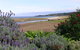 A Great Ocean View Motel - thumb 7
